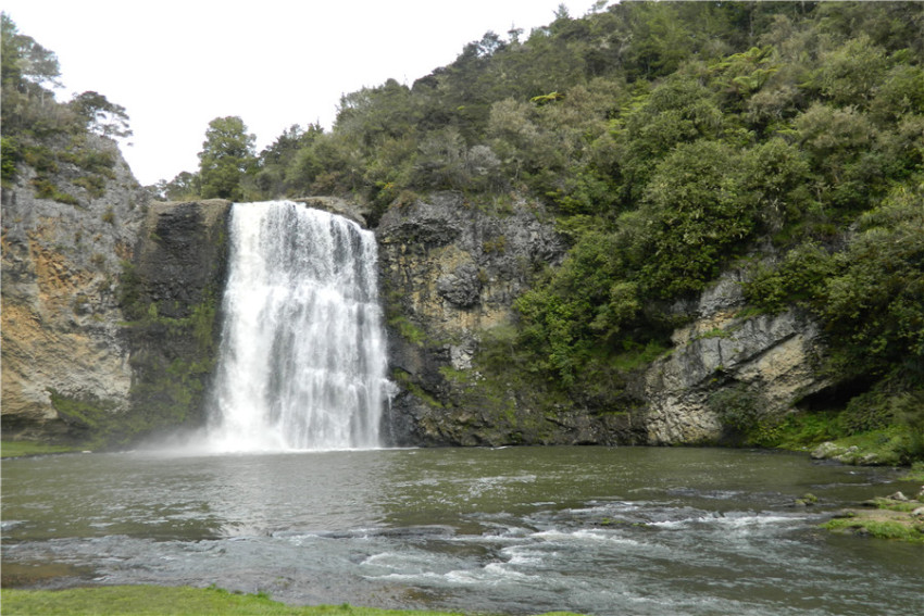 【司导推荐路线】奥克兰周边深度一日游:克利